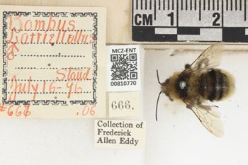 Media type: image;   Entomology 810770 Aspect: labels